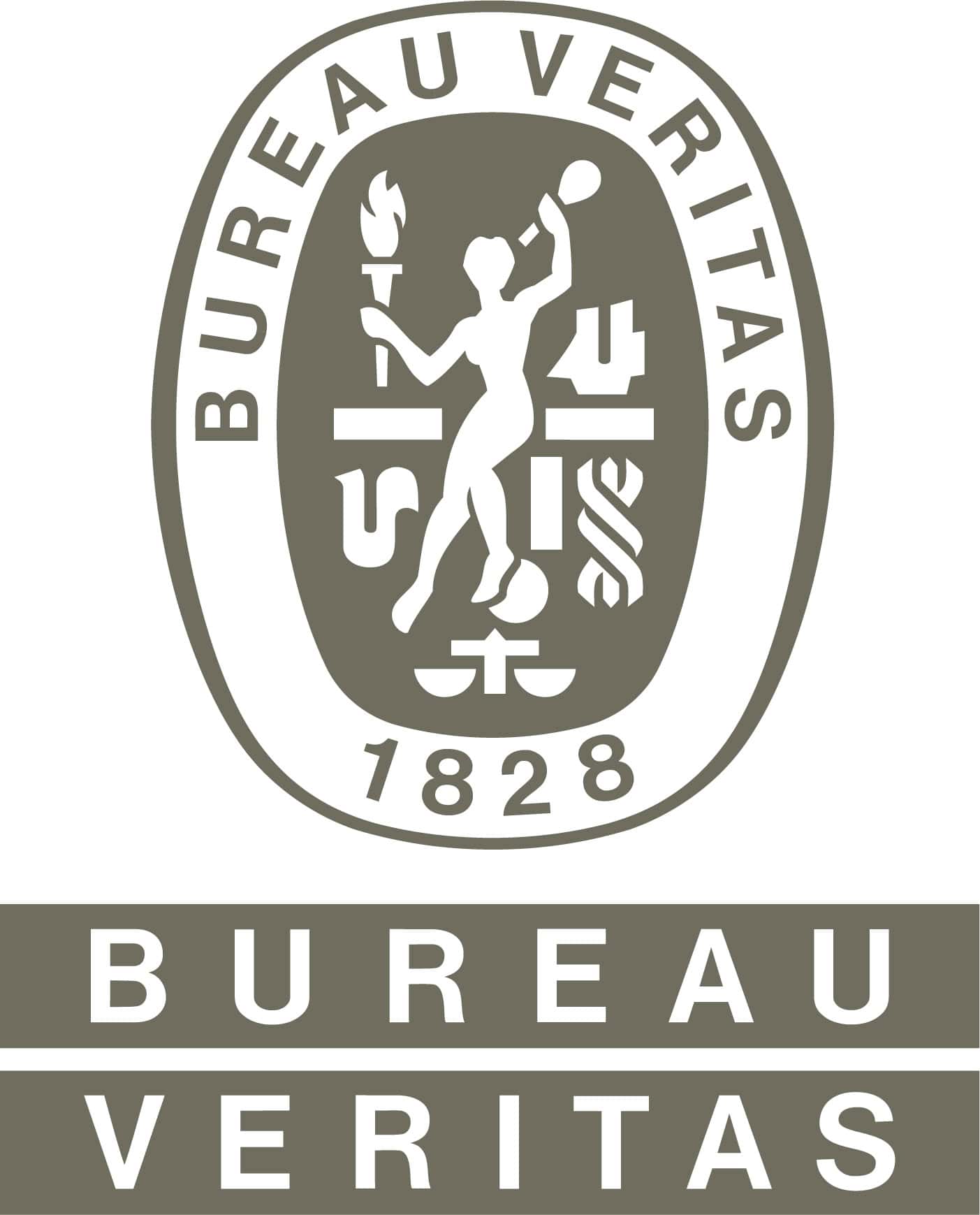 Bureau Veritas Logo_Gray